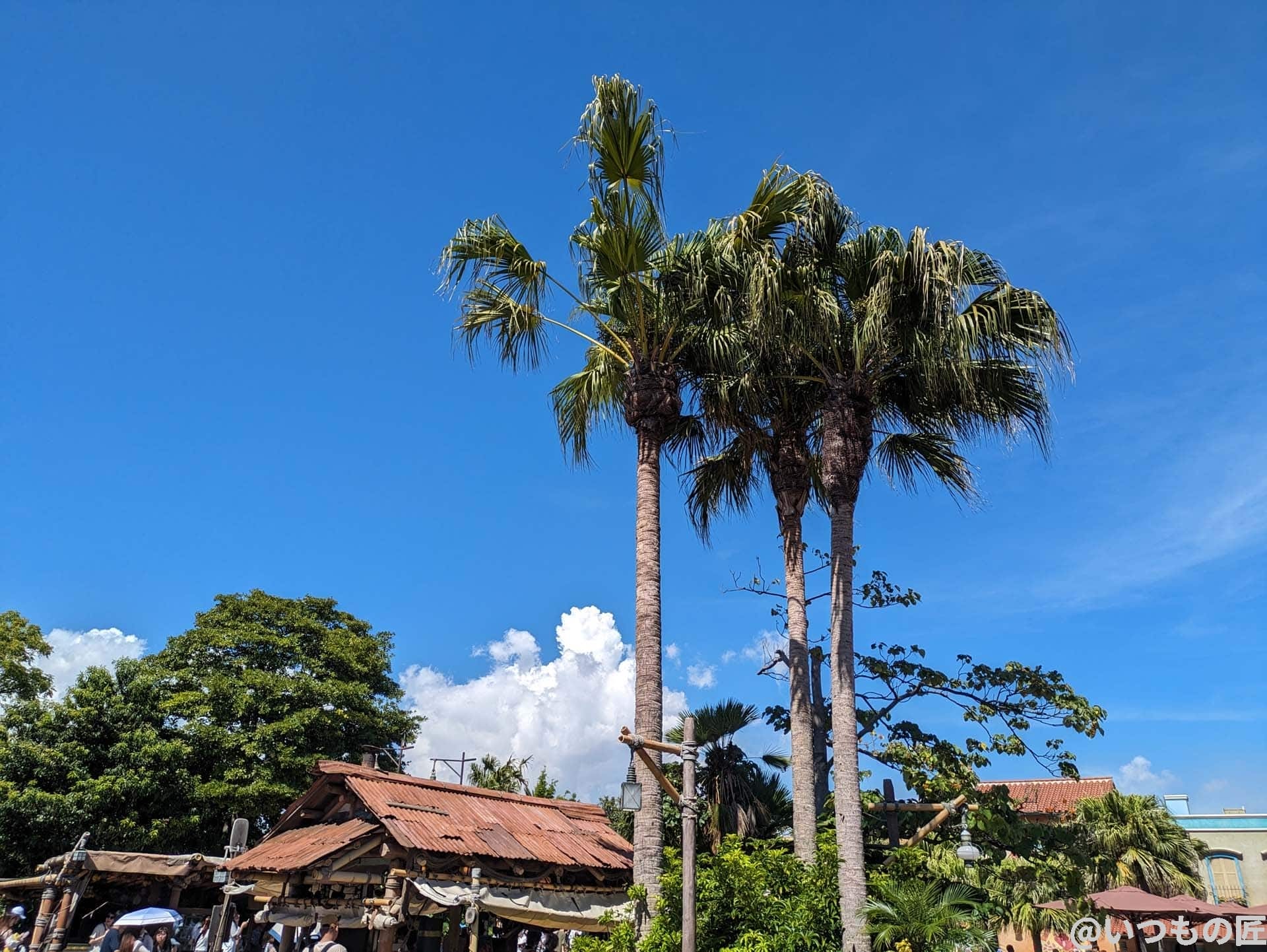 google-pixel-7a-photo-landscape-01 | スマホを検証してみた Google Pixel 7aの風景作例1