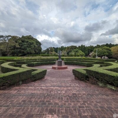 google-pixel-7a-photo-zoom-05-2 | スマホを検証してみた 超広角カメラ(光学ズーム0.5倍)