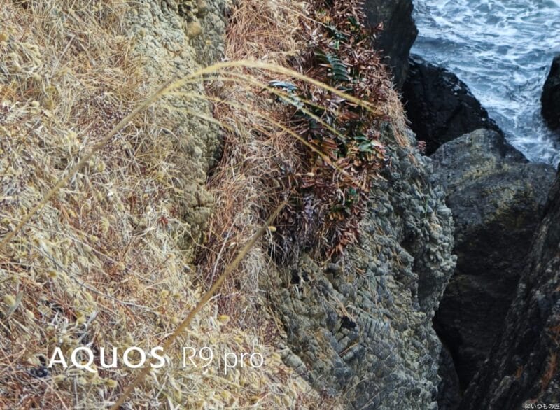 aquos r9 proで撮影した風景写真 | スマホを検証してみた AQUOS R9 pro カメラ AQUOS R9 proで撮影した風景写真