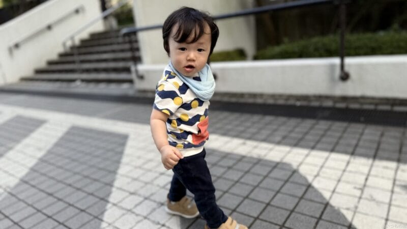 iphone 16 pro maxでポートレート撮影した写真 | スマホを検証してみた AQUOS R9 pro カメラ iPhone 16 Pro MAXでポートレート撮影した写真