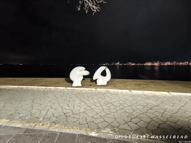 AQUOS R9 pro カメラ AQUOS R9 proでズーム撮影した夜間写真