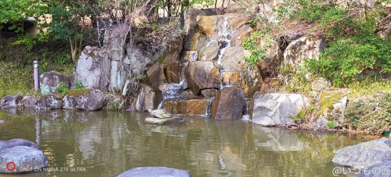 nubia z70 ultra 35mm 近距離を撮影した風景写真 | スマホを検証してみた nubia Z70 Ultra 35mm 近距離を撮影した風景写真